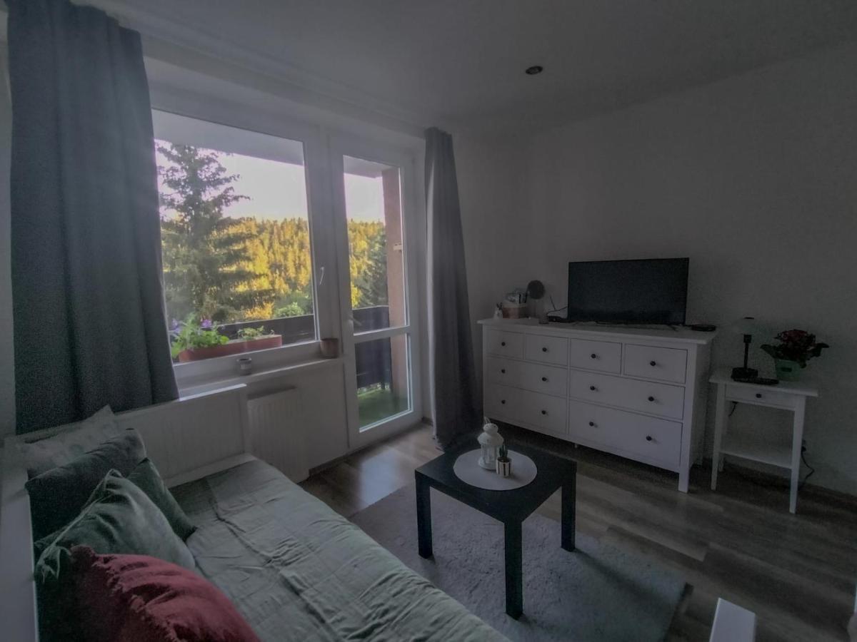 Apartmanek Protez Janske Lazne Luaran gambar
